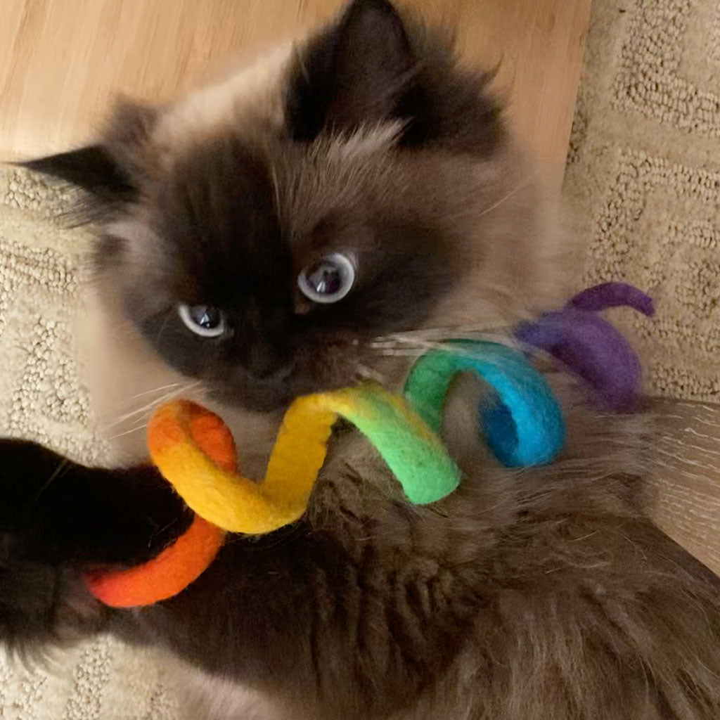 Purrs & Community