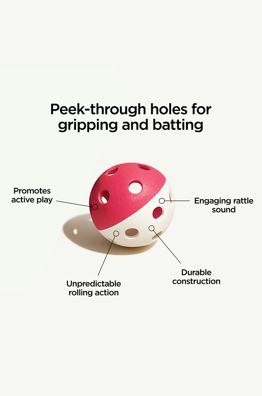 SpinTail Activity Wheel With Ball