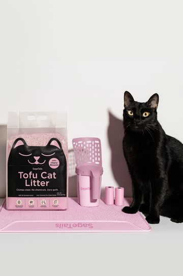 5 Piece Clean Kitty Kit