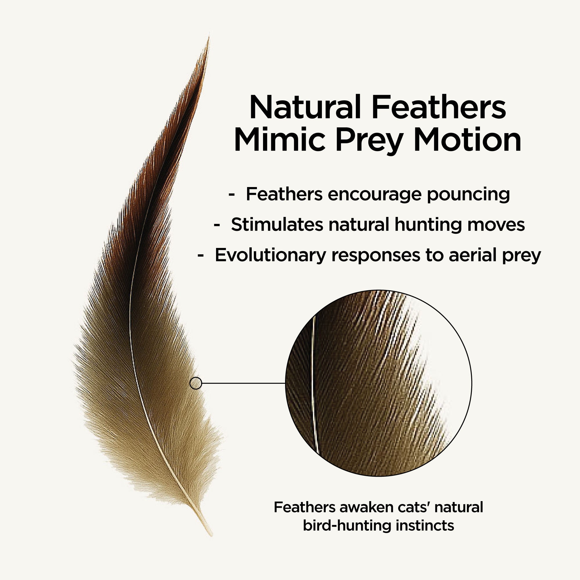 3-Pack Natural Rabbit & Feathers Hunting Toy